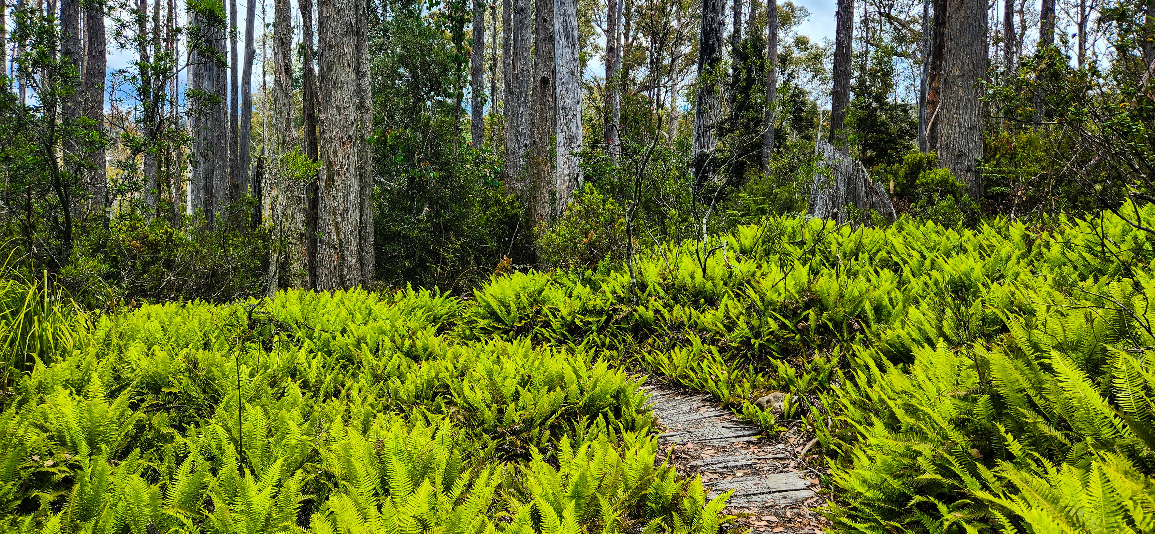 Larmairremener tabelti walking trail